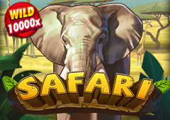 SAFARI